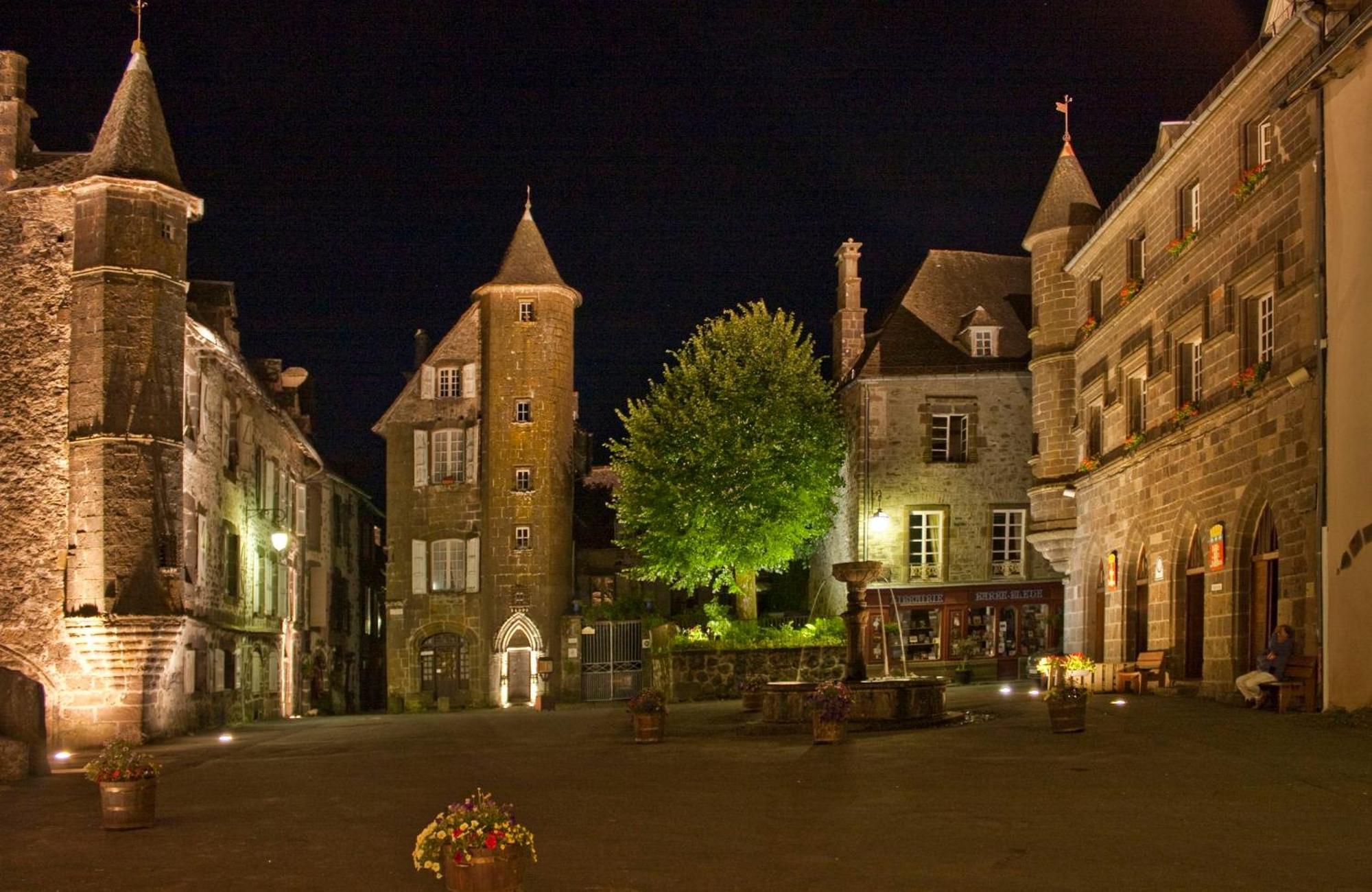 Logis Hotel Restaurant & Spa Les Remparts Салерс Екстериор снимка
